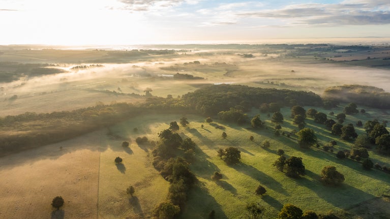 Sherborne Estate from Above